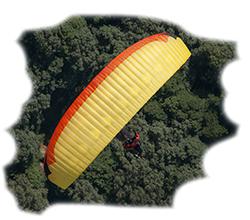 Тайран 7
